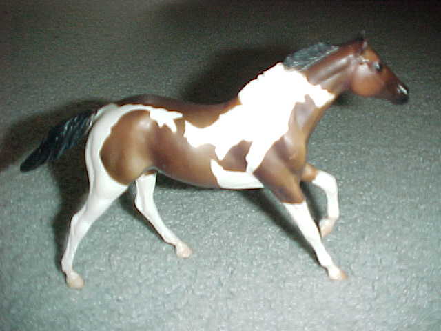race horse