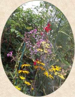 Creation Speaks of God