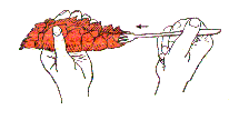 eat_05.gif (4569 bytes)
