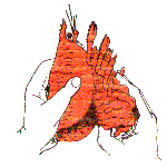 eat_06.gif (6037 bytes)