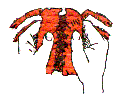 eat_07.gif (4224 bytes)