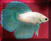 green pastel male.gif (91691 bytes)