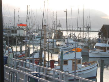 Pic, San Francisco Harbor