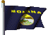 Our Montana Flag!
