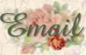 Our email link