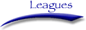 volleyball leagues