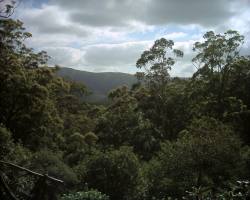Looking out to the northern ridges from averandah