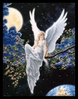 Angel on Branch at Night