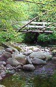 Catskills Mountains Scenery
