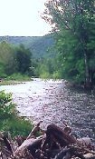 River through the Catskills Mountains