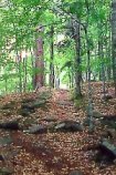 Catskills Mountains wilderness