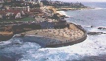 Children's Pool in La Jolla