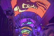 Fremont Street Experience