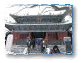 Travel Photo Albums