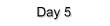 Day 5