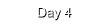 Day 4