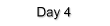 Day 4