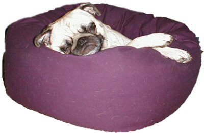 Donut Bed