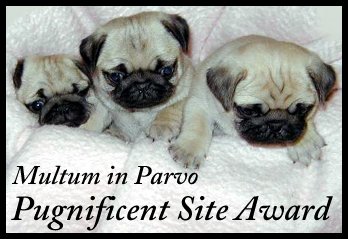 Pugnificent Site Award