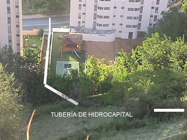 Tubera de Hidrocapital