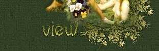 View My Guest Book