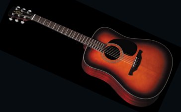 The MOSES guitar by Alvarez...