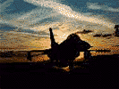 [Image of F16]