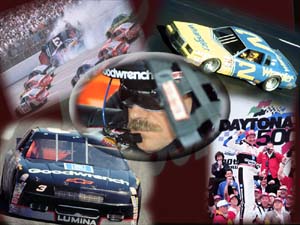 EARNHARDT COLLAGE