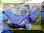 155_cdoex99.jpg