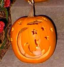 cat pumpkin