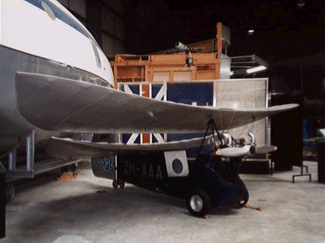 Flying Flea - pic 1