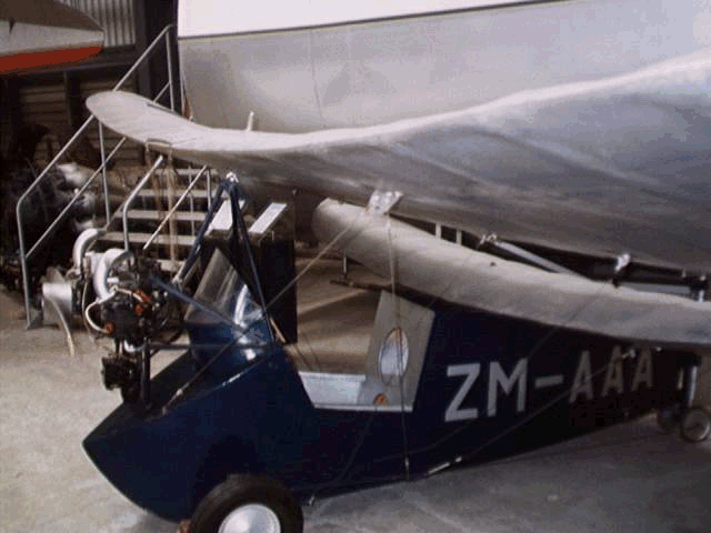 Flying Flea - pic 2