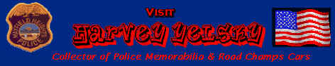 hbanner.bmp (133158 bytes)