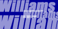williams F1 merchandise