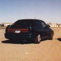 Rhino's LX