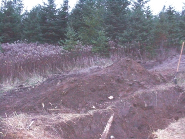 Last year's table under construction