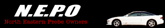 nepobanner.gif (78422 bytes)