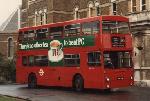 DMS2339