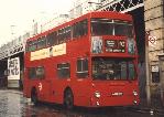 DMS2397