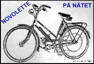 Logo NPN