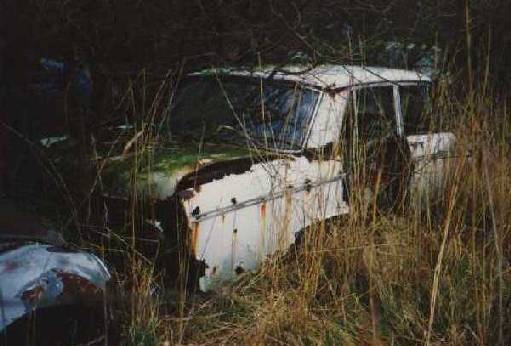 [Fiat 2300]