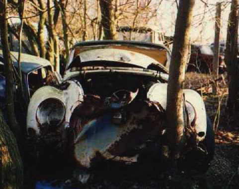 [Auto Union 1000]