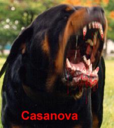 cas-fulsnrl-bld.jpg 10.7 K