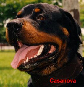 cas-portrait.jpg 15.4 K