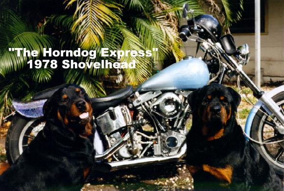 m-boyz-horndog.jpg 60.6 K