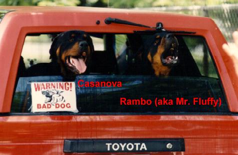 m-boyz-trk.jpg 27.4 K