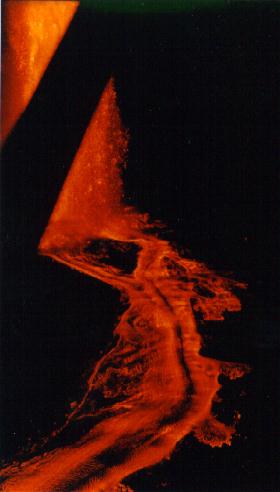 pele-window.jpg 16.5 K