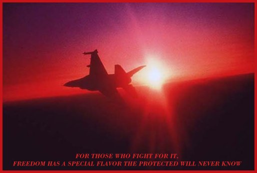 An F-16 patrols the skies over South Korea.