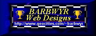 Web Designer