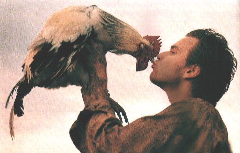 "Ewan and his Cock"